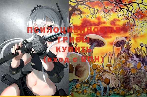 круглые Алексин